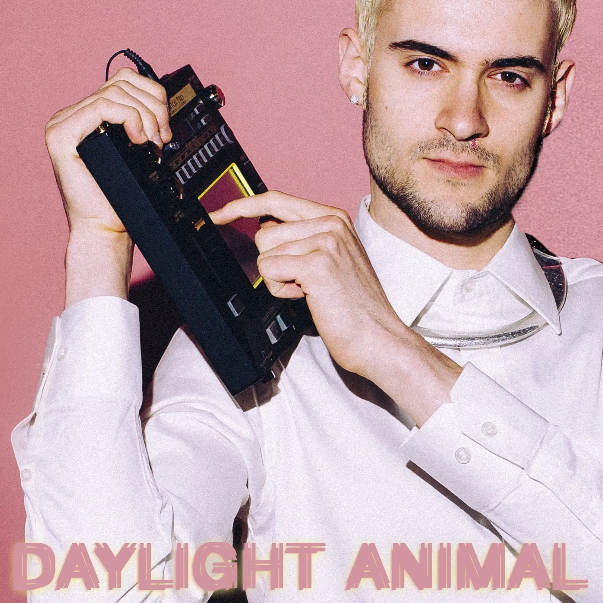 Daylight Animal