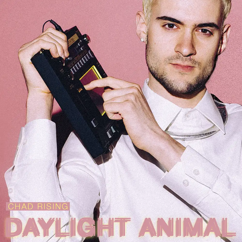 Daylight Animal album art